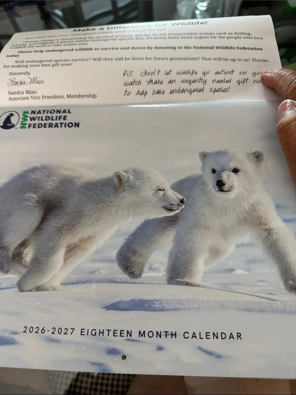 2026-2027 Arctic Polar Bear Calendar - White